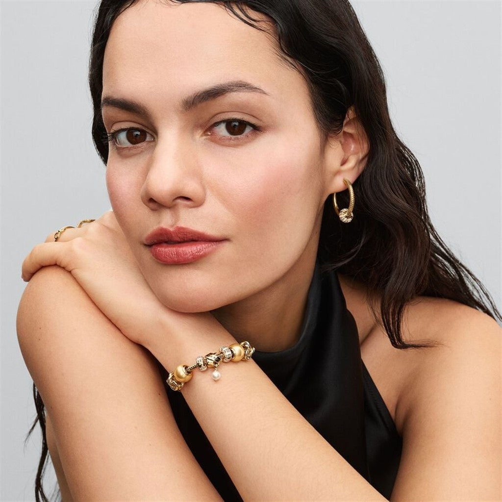 Pandora Moments Stones And Enamel Clip Charm