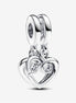 Pandora Moments "Forever & Always"  Splittable Dangle Charm
