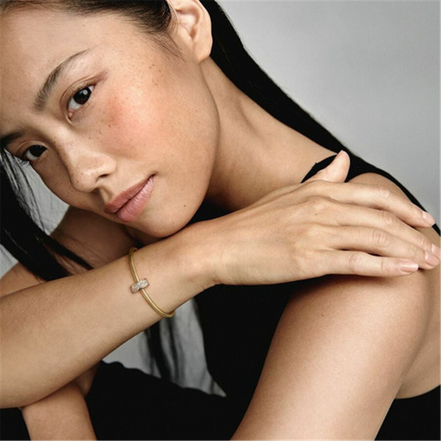 Pandora Timeless  Clear Pavé Clip Charm