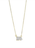 14K Yellow Gold 1 CTW Lab Grown Diamond Toi et Moi Pendant Necklace
