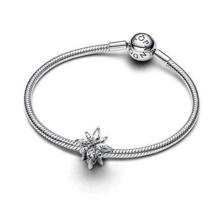 Pandora Moments Sparkling North Star Charm