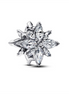 Pandora Moments Sparkling North Star Charm