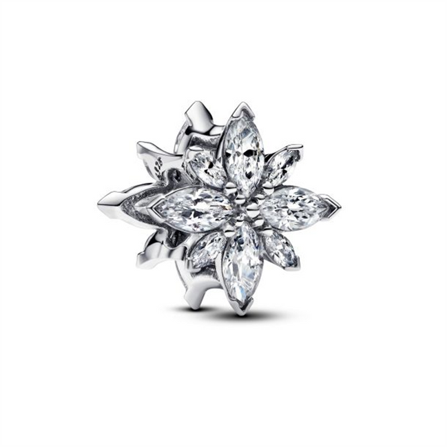 Pandora Moments Sparkling North Star Charm
