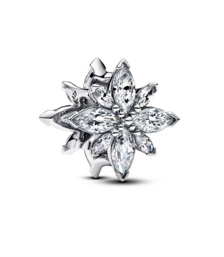 Pandora Moments Sparkling North Star Charm