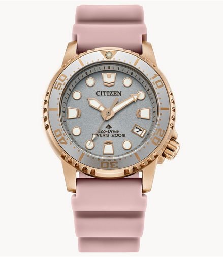 Citizen Ladies Promaster Dive Silver Dial Watch