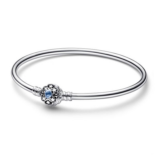 Pandora Disney Aladdin Princess Jasmine Bangle Bracelet Size 17