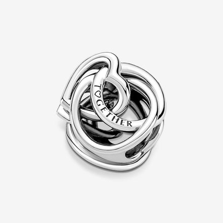 Pandora Moments "Family Always" Together Encircled Heart Charm
