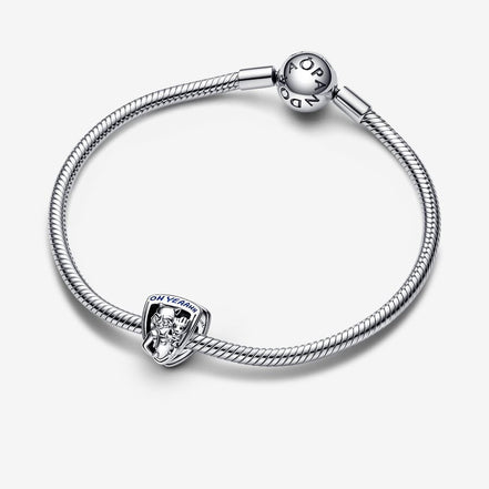Pandora Marvel Guardians of the Galaxy Rocket Raccoon & Groot Emblem Charm