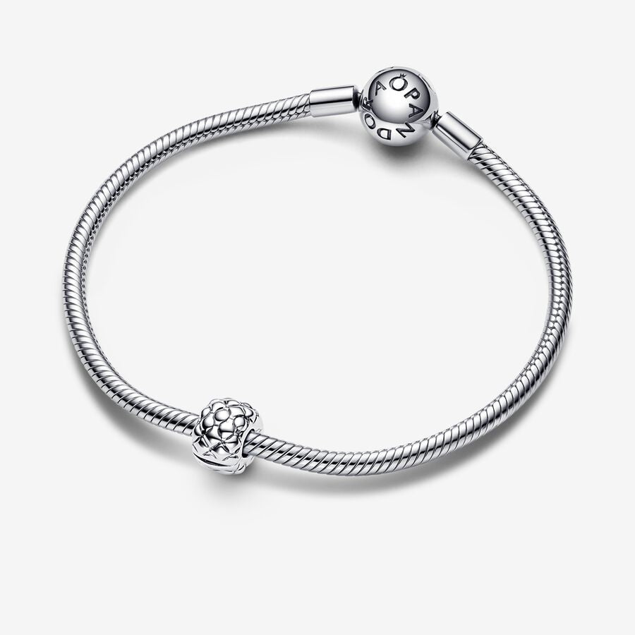 Pandora Moments Studded Clip Charm