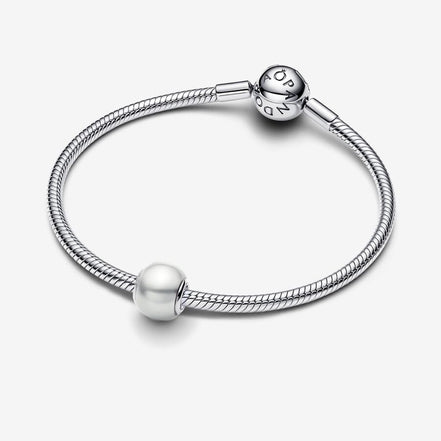 Pandora Moments Silver White Charm