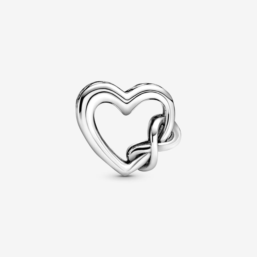 Pandora Moments Silver 