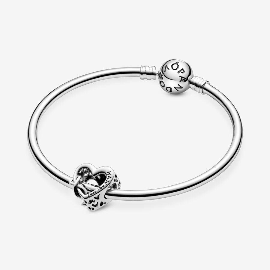 Pandora Moments Silver 