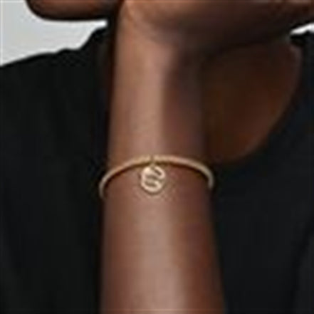 Pandora Moments Gemini Zodiac Dangle Charm