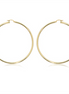 Carla Ladies 14K Yellow Gold  S/D Hoop Earrings