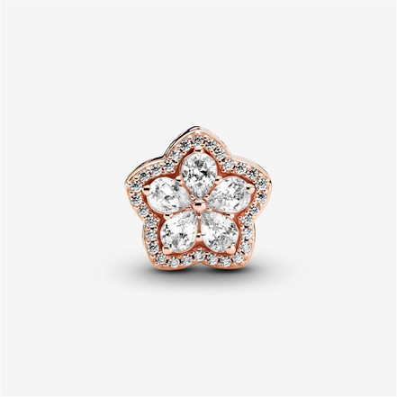 Pandora Timeless Sparkling Snowflake Pavé Charm