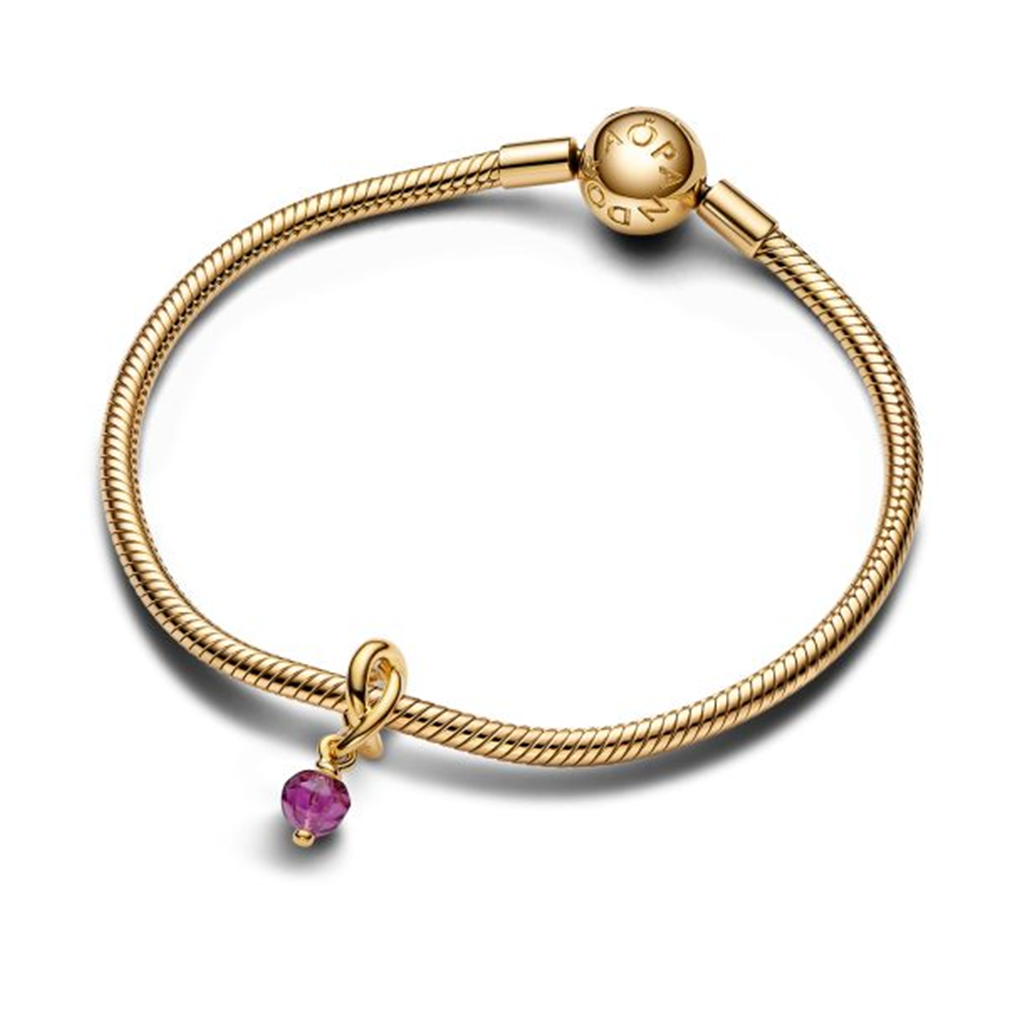 Pandora Moments February Faceted Purple Eternity Circle Dangle Charm