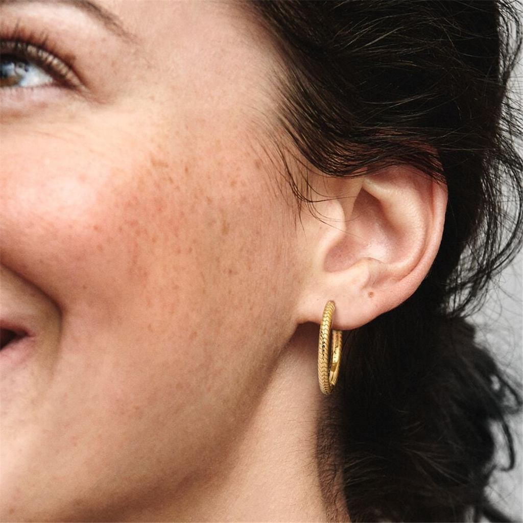 Pandora Moments Snake Chain Charm Hoop Earrings