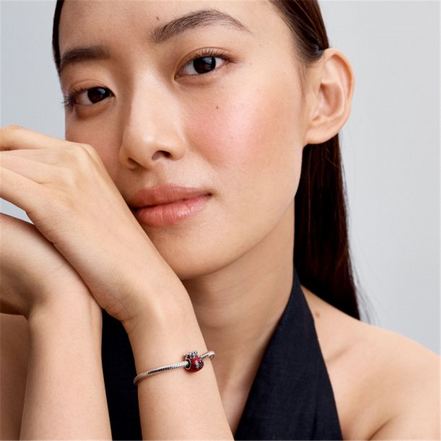 Pandora Moments Lucky Bag Charm