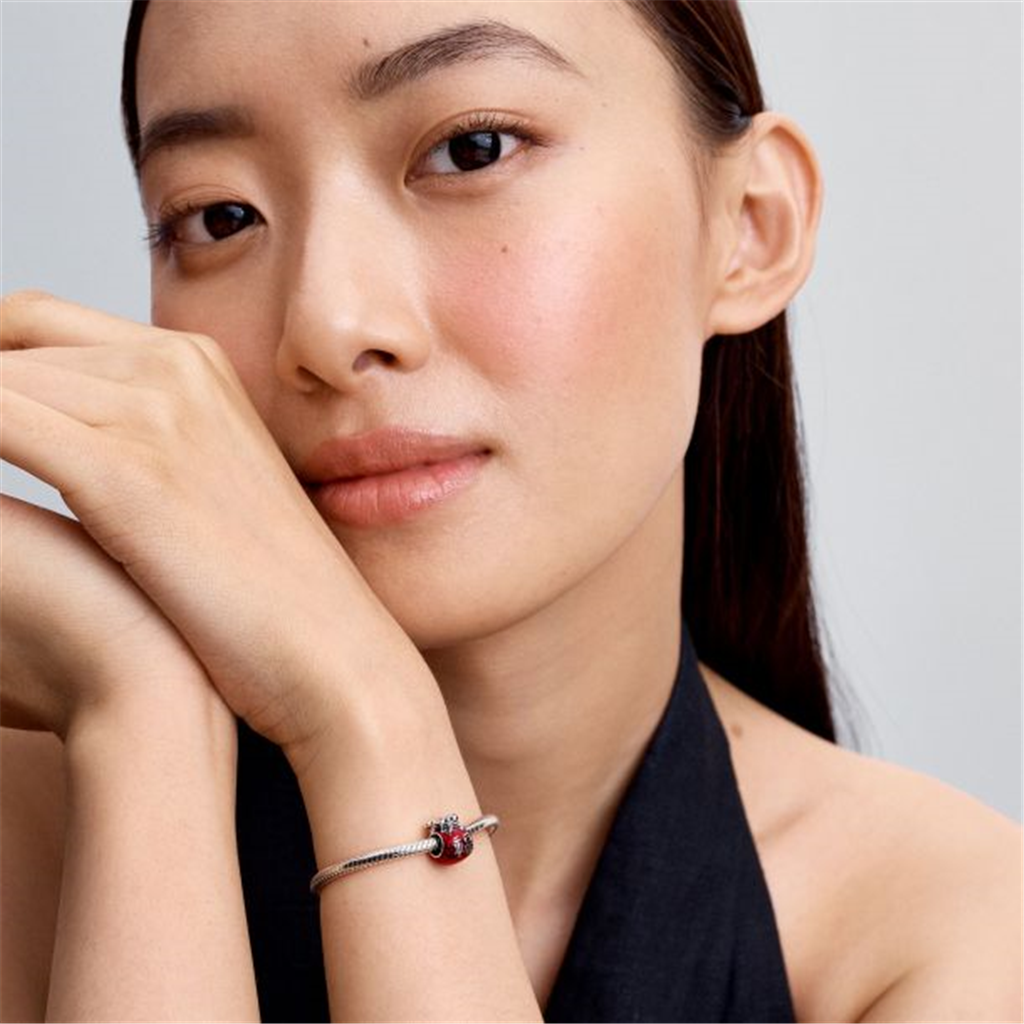 Pandora Moments Lucky Bag Charm