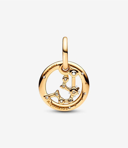 Pandora Moments Aquarius Zodiac Dangle Charm