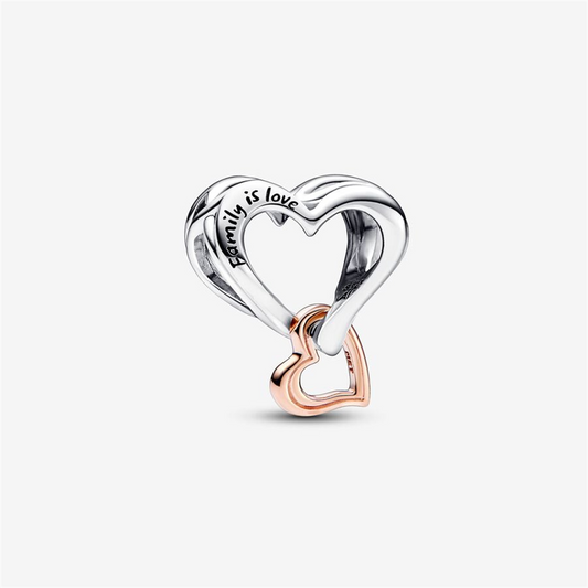 Pandora Moments Two-Tone Family Openwork Infinity Heart Charm