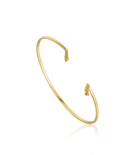 Ania Haie Tassel Drop Bangle