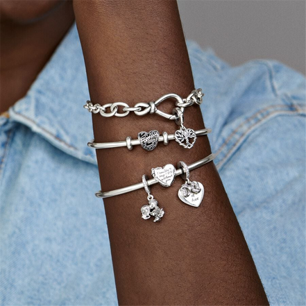Pandora Moments Family Heart Charm