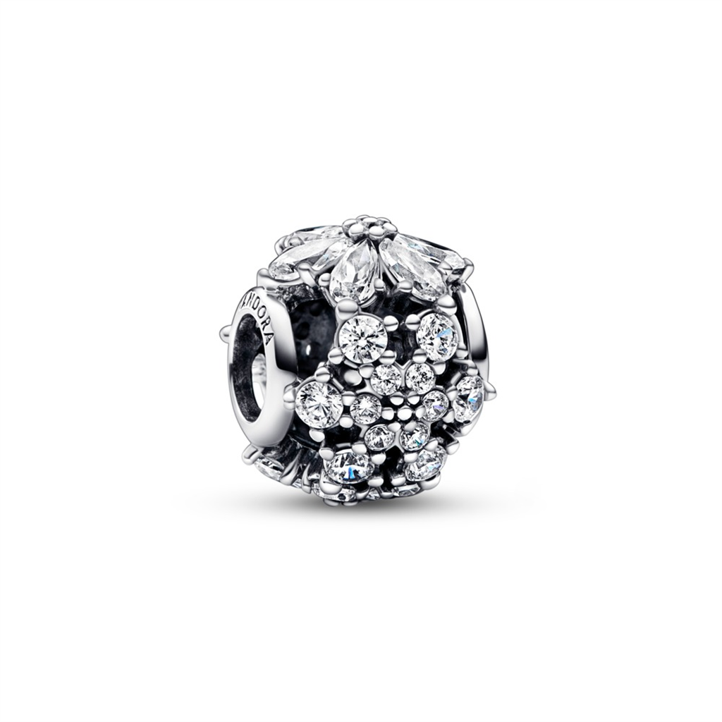 Pandora Timeless Sparkling Herbarium Cluster Round Charm