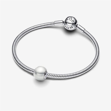Pandora Moments White Charm
