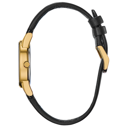 Citizen Ladies'  Eco-Drive Axiom Gold-Tone Black Leather Strap Watch